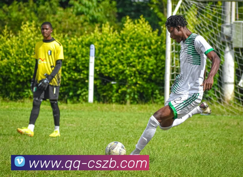 彩神争霸服务体系